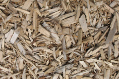 biomass boilers Roseacre